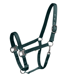 Ohlávka Waldhausen Gloomy, jedlově zelená