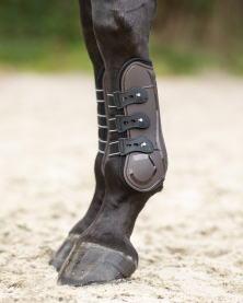 Šlachovky QHP Champion, hnědá