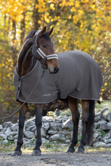 Odpocovací deka Covalliero Premium