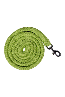 Vodítko -GlowLine- s karabinou zelená