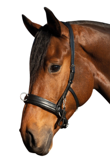 Lonžovací obnosek HKM Comfort, černá