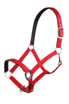 Měkce podložená ohlávka HKM Charming, třešňová