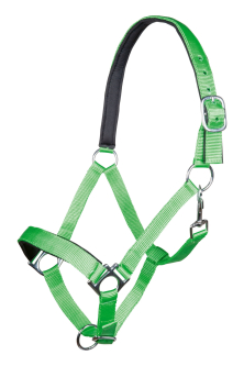 Ohlávka HKM Stars - měkce podložená, světle zelená