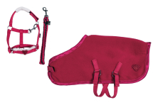 Set Starter Cuddle Pony HKM, červená