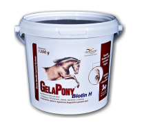Gelapony Biotin H - prášková forma, 1 200g - 60 denních dávek