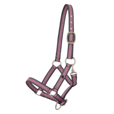Ohlávka pro hříbata QHP Collection 2026, cheery pink