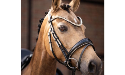 mauricio.cz - Mauricio s.r.o. na Champions Tour – skokové závody (CSN), 28.–29. 3. 2026