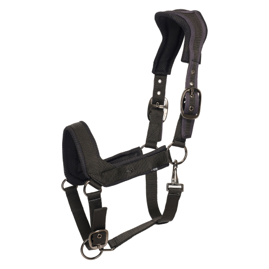 Stájová ohlávka HV POLO Esther