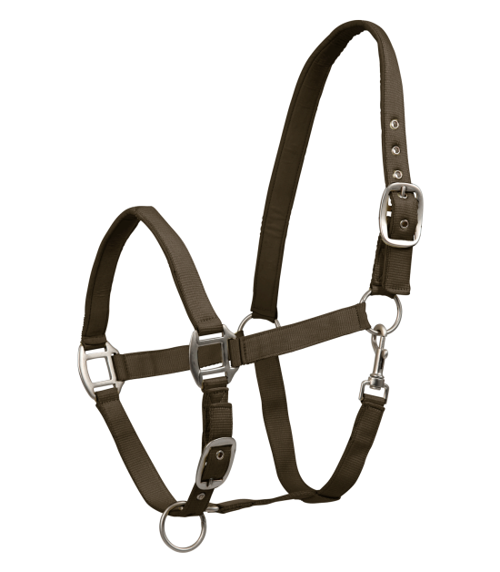 Ohlávka Waldhausen Satin, zelenohnědá