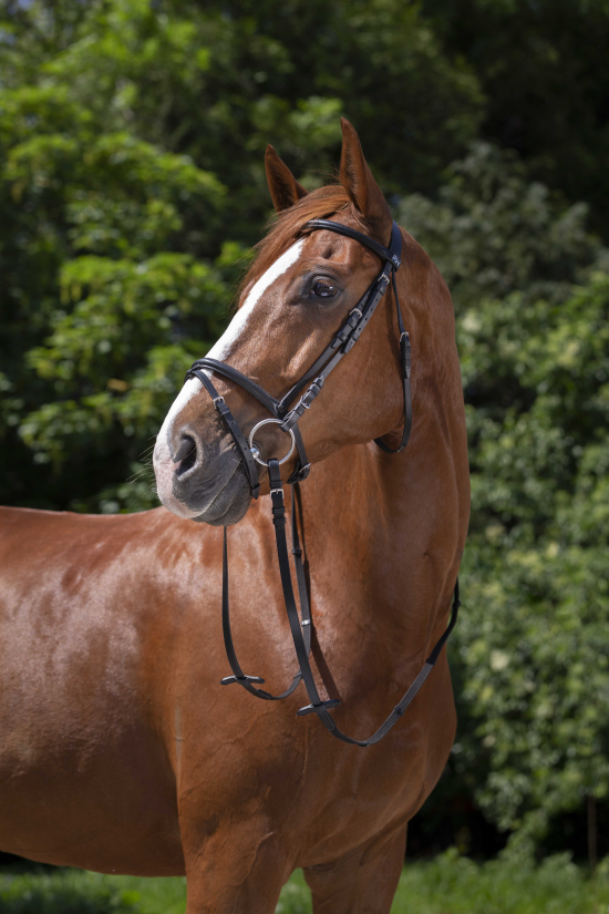 Kožená uzdečka RIDING WORLD