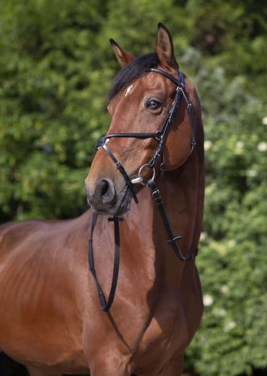 Uzdečka s mexickým nánosníkem RW