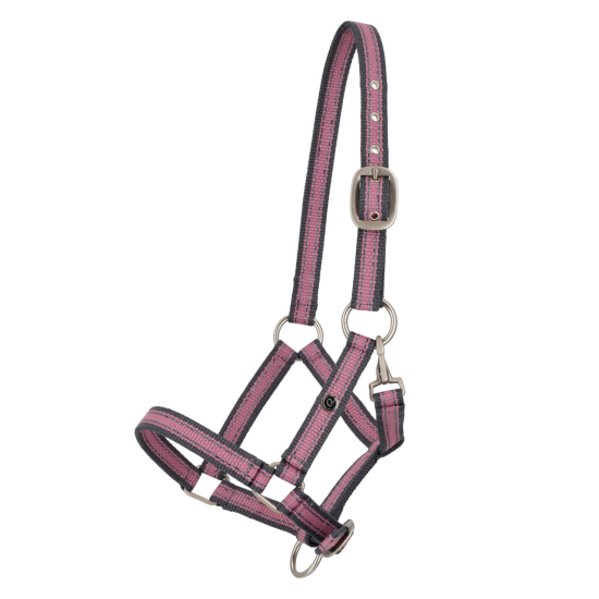 Ohlávka pro hříbata QHP Collection 2026, cheery pink