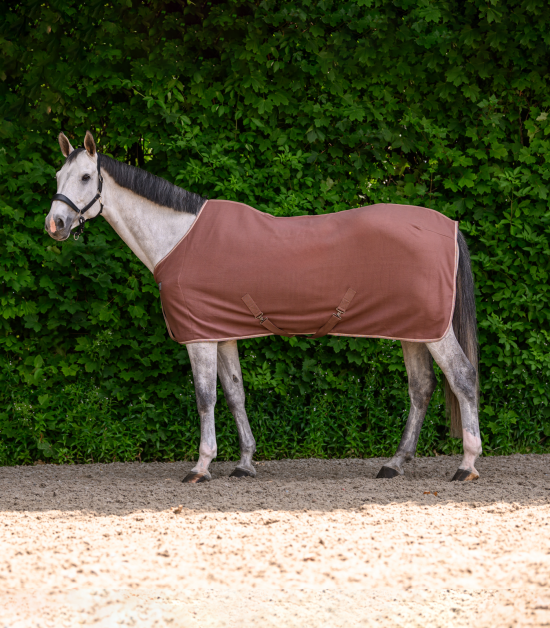 Odpocovací deka Waldhausen Economic - s křížovým zapínáním, hnědá