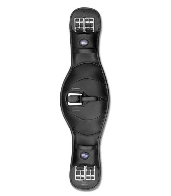 Drezurní podbřišník Wintec Anatomic, černá