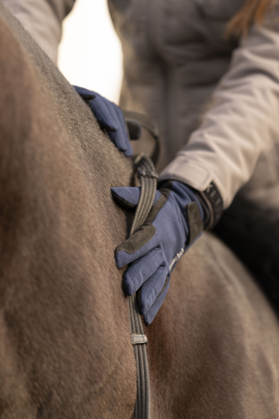 Zimní rukavice ROECKL MEURA