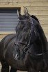 Kožená uzdečka RIDING WORLD