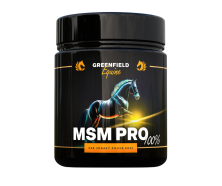 MSM PRO 100% v prášku