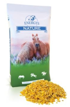 Energys cornflakes