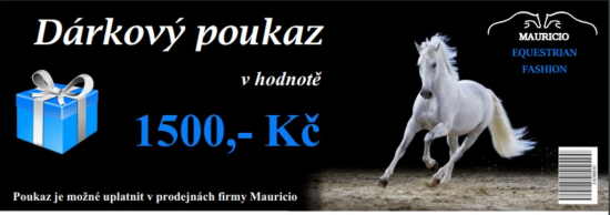 DÁRKOVÝ POUKAZ 1500,-