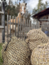 Extrémně pevná síť na seno Slowfeeder 10kg