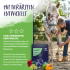 Bozmerix - revoluční Vitamlsky proti zánětům a pro zdravé klouby